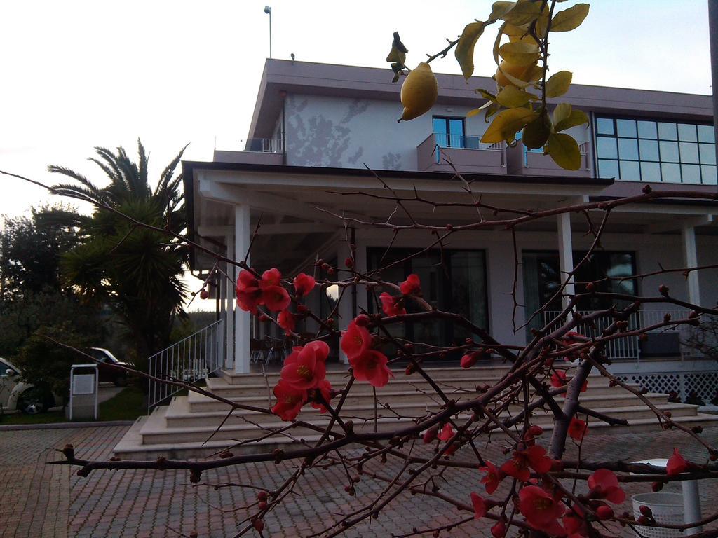 Hotel Parco degli Ulivi Scerne Esterno foto